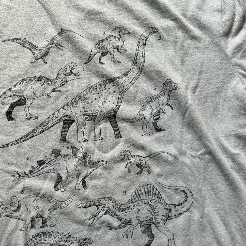 GAP boys tee